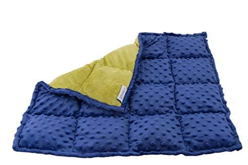 Sensory Weighted Lap Pad for Kids 5 pounds - Great Weighted Lap Blanket for Kids with Autism, ADHD, and Sensory Processing Disorder - Classroom and Special Education Supplies
