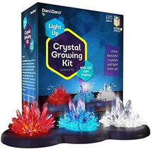 Load image into Gallery viewer, Crystal Growing Kit for Kids + LIGHT-UP Stand - Science Experiments for Kids - Crystal Science Kits - Craft Stuff Toys for Teens - STEM Projects for Boys &amp; Girls - Grow Crystals and Make Them Glow
