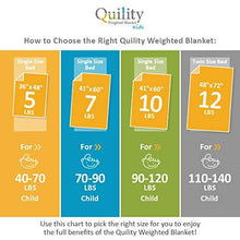 Load image into Gallery viewer, Quility Weighted Blanket for Kids or Adults - Heavy Heating Blankets for Restlessness (41”x60”, 10 lbs), Grey, Tide Cover
